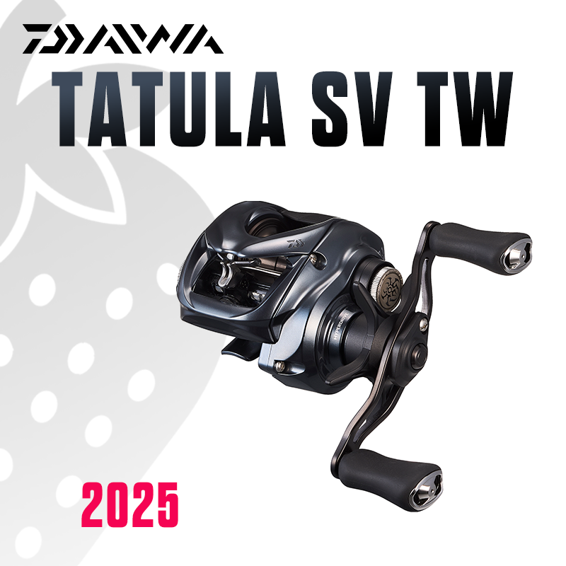 DAIWA 2025 TATULA SV TW100 Fis - Abu Garcia Reel Max 评论和价格